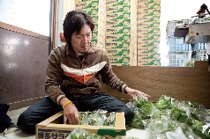 袋詰め後に箱詰めを行う草場大和さん（大橋町）