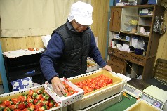 規格ごとに計量してパック詰め