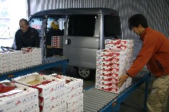 荒木集荷場に持ち込み
