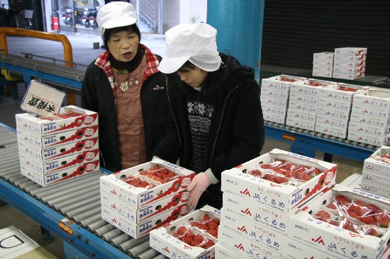 検査員が厳しく品質を確認して出荷