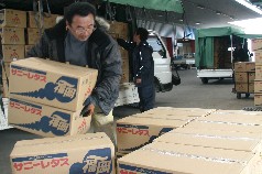 園芸流通センターへ搬入