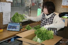 検査員が行う抜き取り検査で品質を厳密にチェック