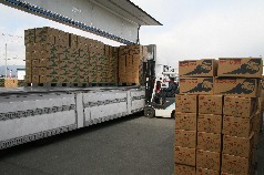 全国の市場へ出荷