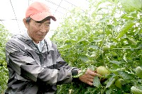 ほ場の見回りは日課。毎日の品質チェックは欠かさない